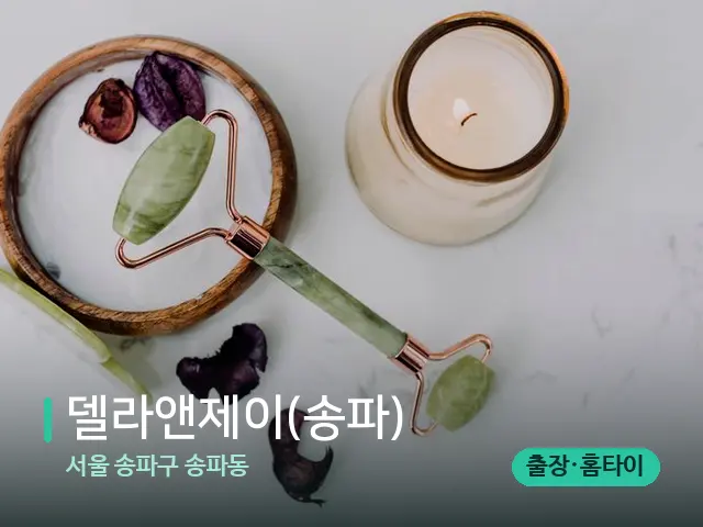 서울 송파구 송파동 델라앤제이(송파) — 스파 마사지 베드