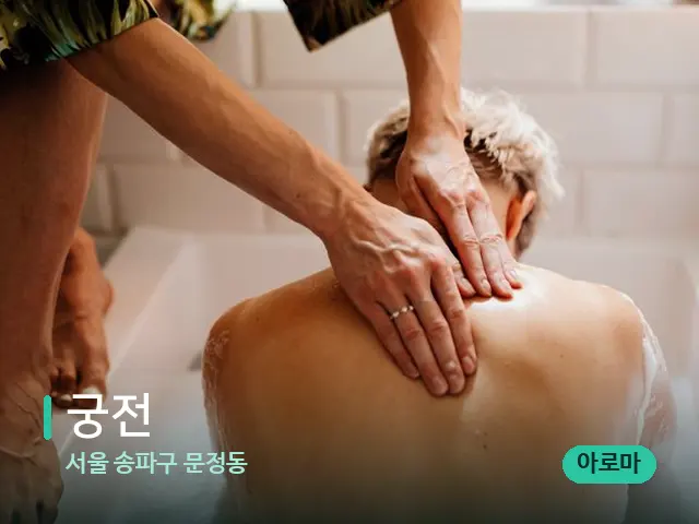 서울 송파구 문정동 궁전 — 스파 마사지 베드